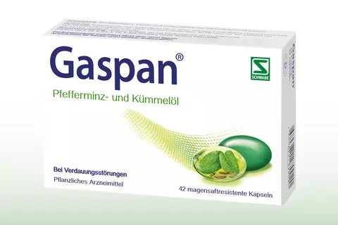 gaspan-verdauung-blaehungen-voellegefuhel-packshot-deutsch