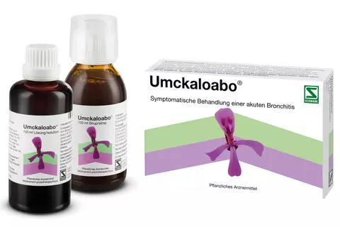 umckaloabo-alle-akute-bronchitis-husten-packshot-deutsch