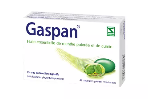gaspan-digestion-flatulences-pieds pleins-schwabe