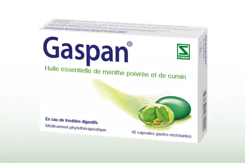 gaspan-digestion-flatulences-réplétion-schwabe-pharma