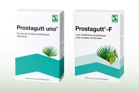 prostagutt-prostate-douleurs-schwabe-pharma