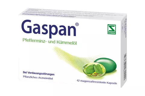 gaspan-verdauung-blaehungen-voellegefuhel-packshot-deutsch