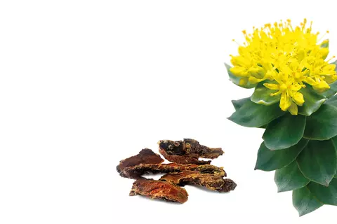 rosenwurz-blume-wurzel-vitango-stress