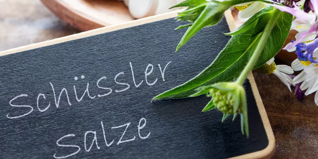 Schüssler Salze Schriftzug und Heilpflanzen